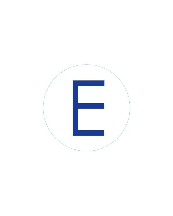 Bogg Bit - Initial "E"