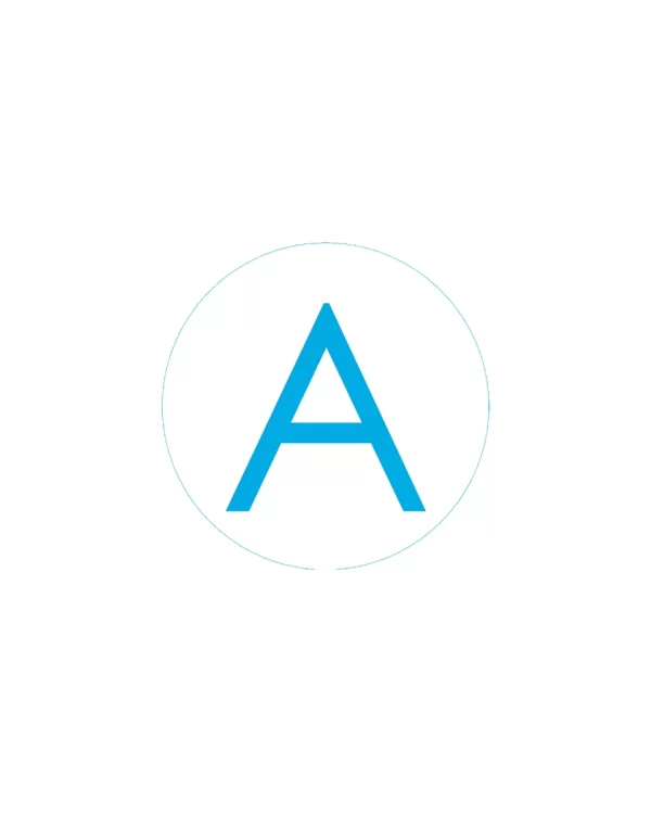 Bogg Bit - Initial "A"