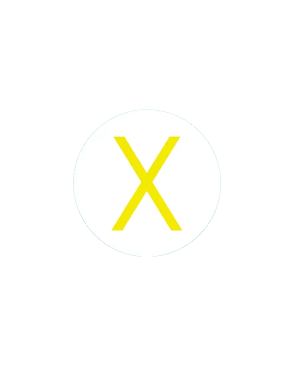 Bogg Bit - Initial "X"